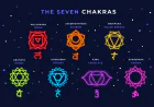The Chakras: Gateways to Yoga Shakti