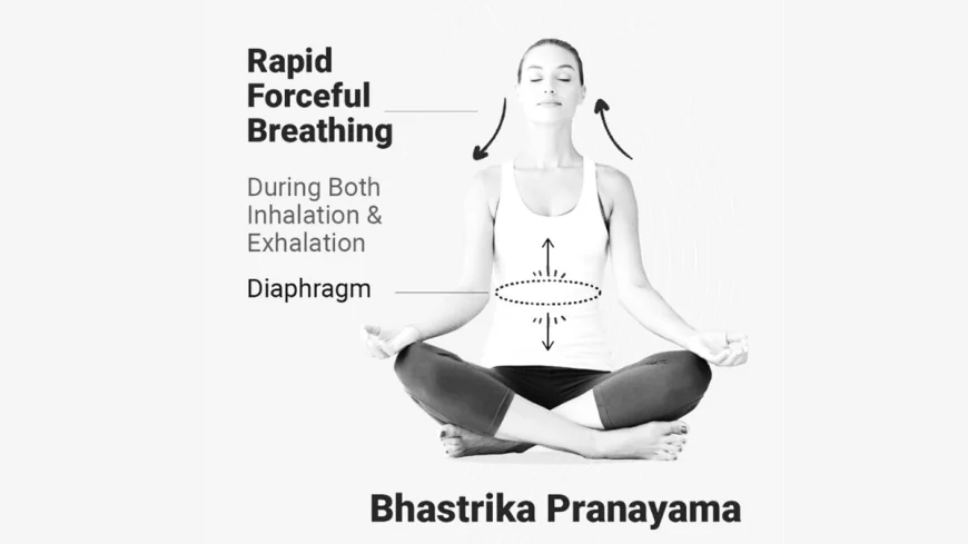 Bhastrika Pranayama (Bellows Breath): Bhastrika Pranayama is a heating technique that mimics the action of bellows fanning a fire. This practice involves rapid inhalation and exhalation that dynamically engages the diaphragm and abdominal muscles YOGAKSHTI - STRENGTH IN YOU