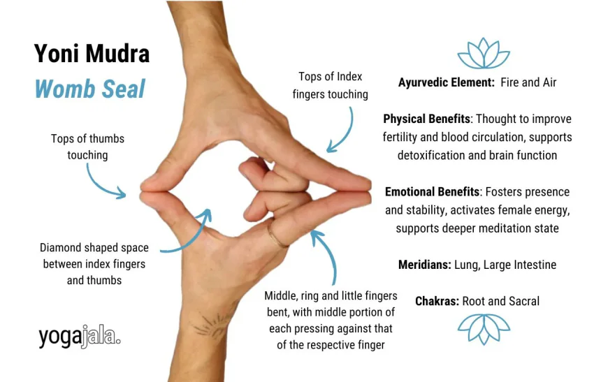 Yoni Mudra is a symbolic gesture representing the womb or source of creation. It is deeply connected to feminine energy and is often used to calm the mind and enhance inner awareness Yogakshti - STRENGTH IN YOU