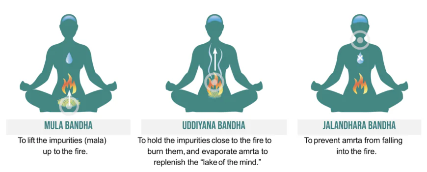 Mula Bandha (Root Lock), Uddiyana Bandha (Abdominal Lock), Jalandhara Bandha (Throat Lock)